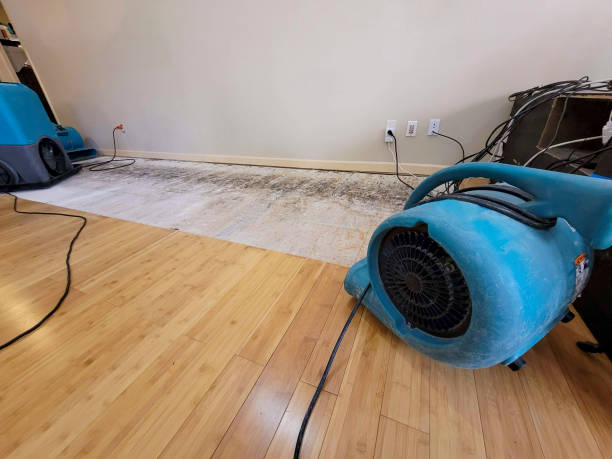 Professional Sewage Cleanup technician working in West Linn, OR